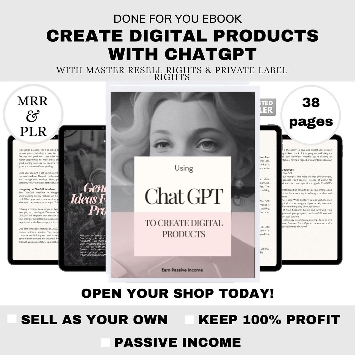 Online Branding & AI Side Hustle PLR eBook – Canva Editable Digital Product with Resell Rights for Passive Income & Business Growth - Image 3